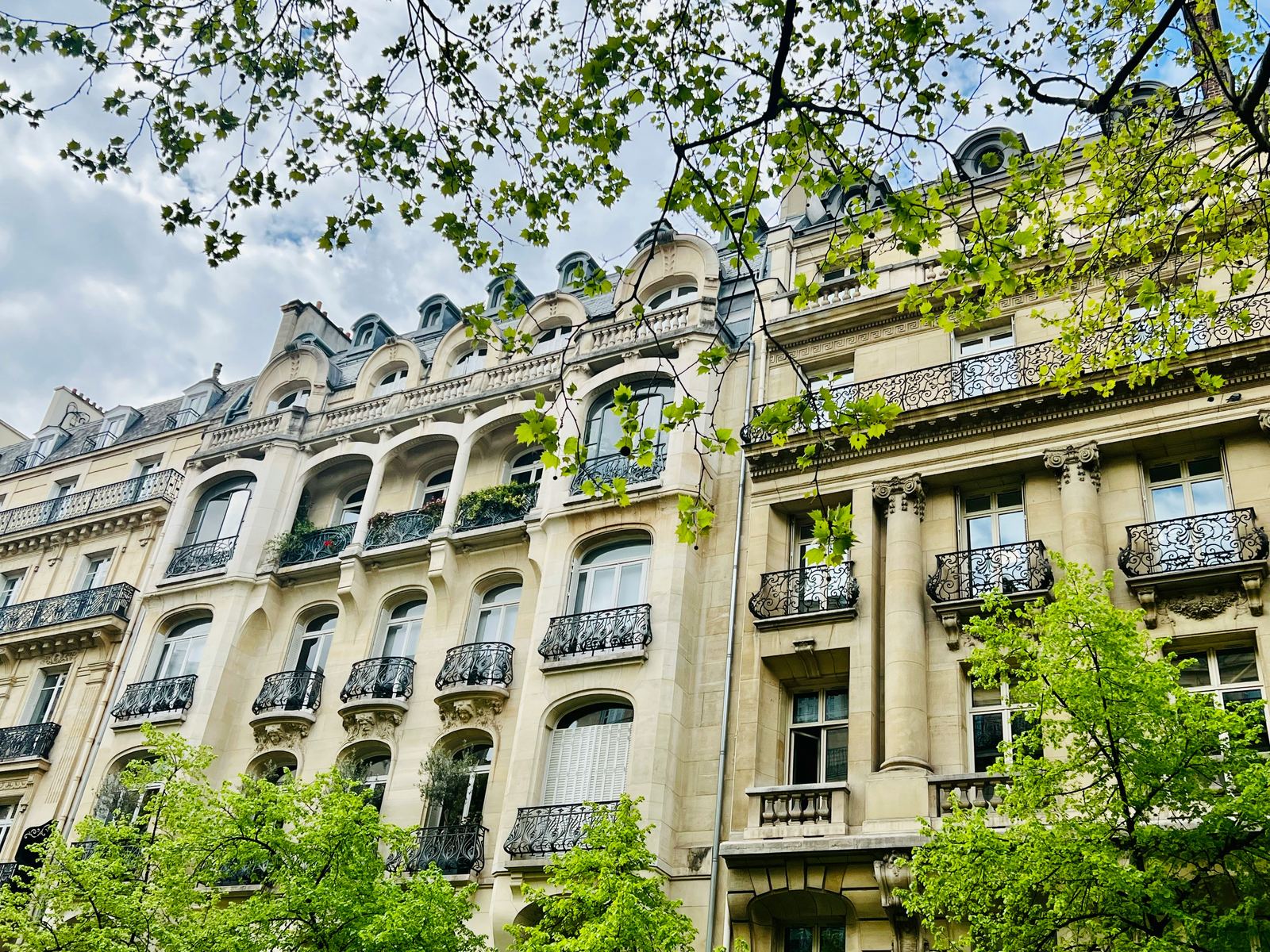 Réhabilitations — DG Patrimonia